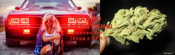 шишки Алзамай