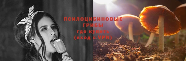 шишки Алзамай