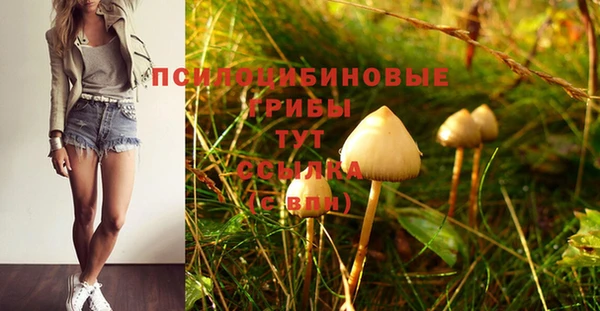 шишки Алзамай