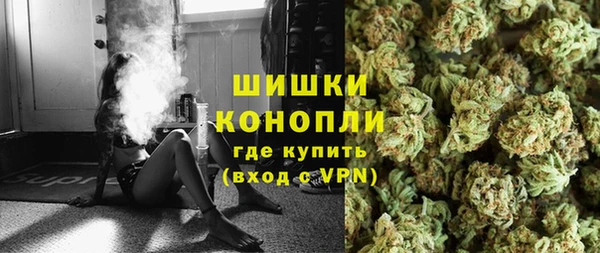 шишки Алзамай