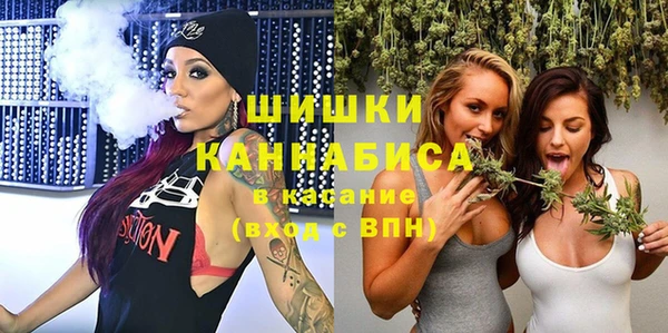 шишки Алзамай