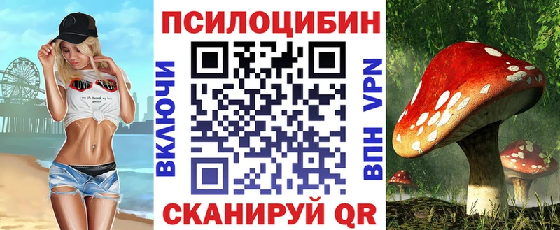 Псилоцибиновые грибы Cubensis  Урюпинск 
