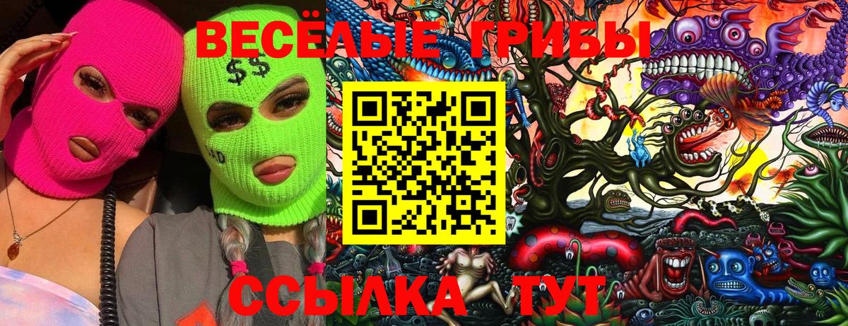 Псилоцибиновые грибы GOLDEN TEACHER Урюпинск